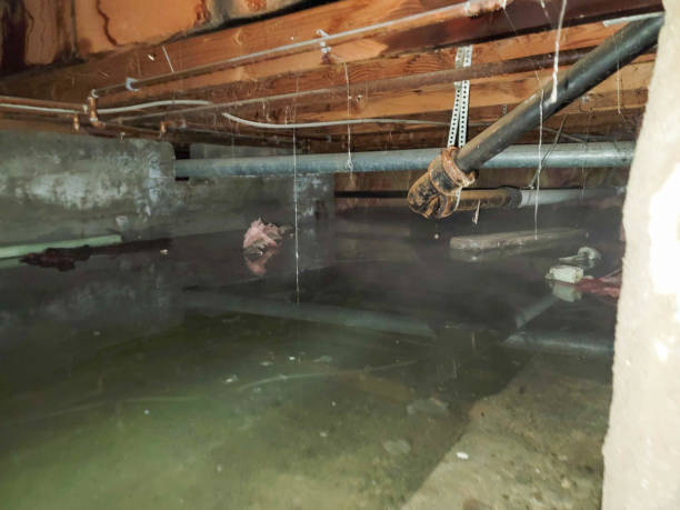 Best Fire Damage Restoration  in Lake Tapps, WA