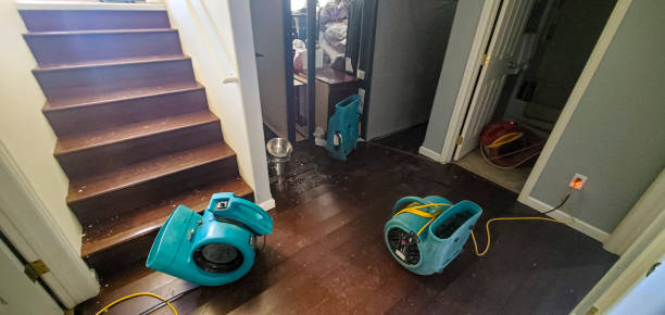 Best Water damage mitigation services  in Lake Tapps, WA
