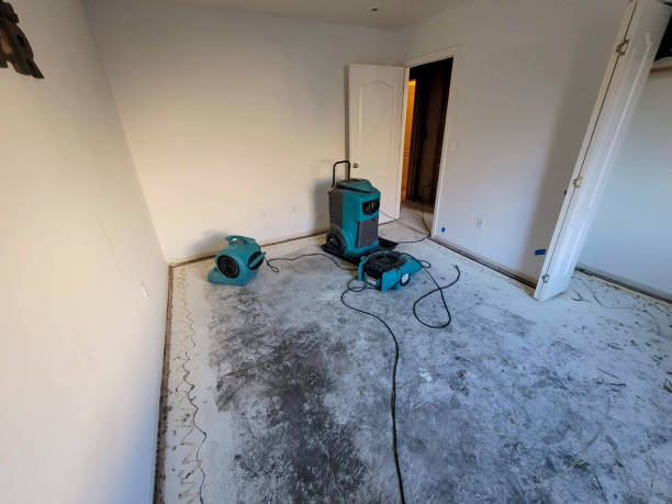 Best Flooded house restoration  in Lake Tapps, WA