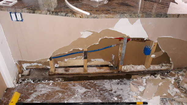 Best Professional water damage repair  in Lake Tapps, WA