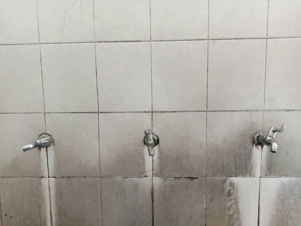 Best Water damage restoration experts  in Lake Tapps, WA