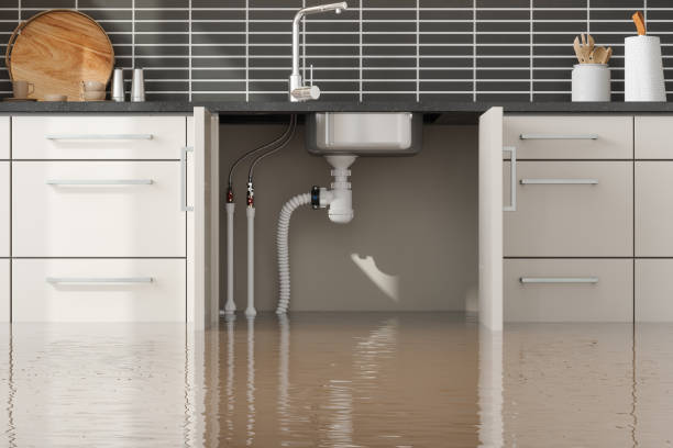 Best Basement water damage restoration  in Lake Tapps, WA