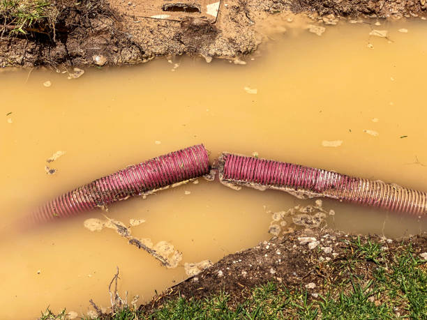 Trusted WA Water damage restoration Experts