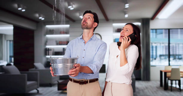 Best Water damage contractors near me  in Lake Tapps, WA